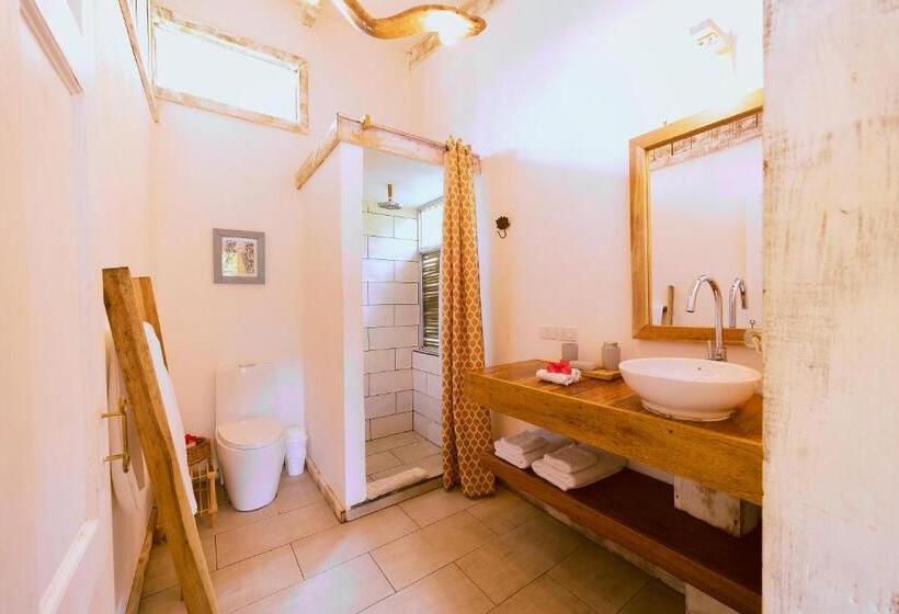 استودیوی استاندارد, Sonora Jungle & Yoga Retreat