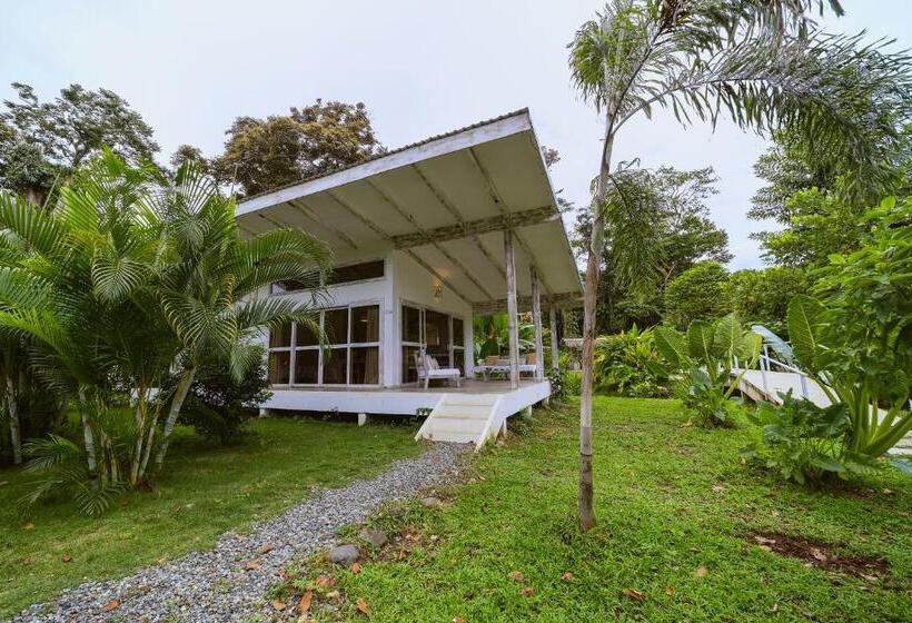 استودیوی استاندارد, Sonora Caribbean Jungle Retreat