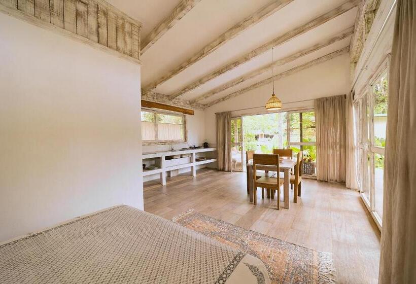 استودیوی استاندارد, Sonora Jungle & Yoga Retreat