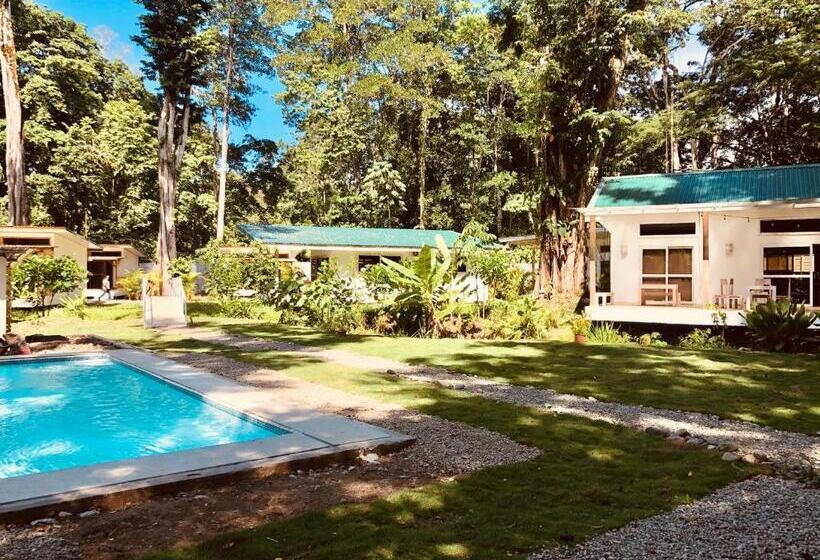بانگلوی استاندارد, Sonora Jungle & Yoga Retreat