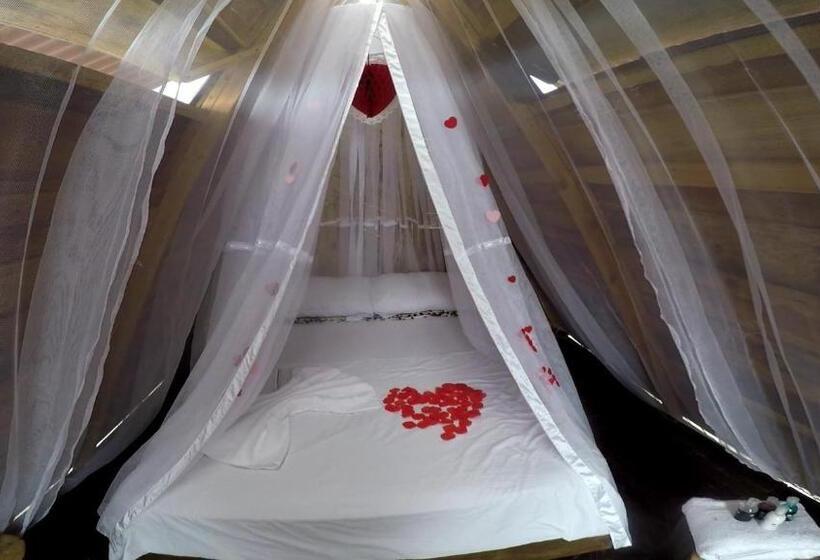 اتاق استاندارد, Mana Star Lounge