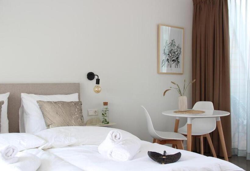 Superior Kamer, Paradis Zandvoort