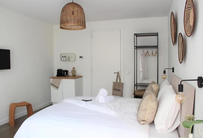 Superior Kamer, Paradis Zandvoort