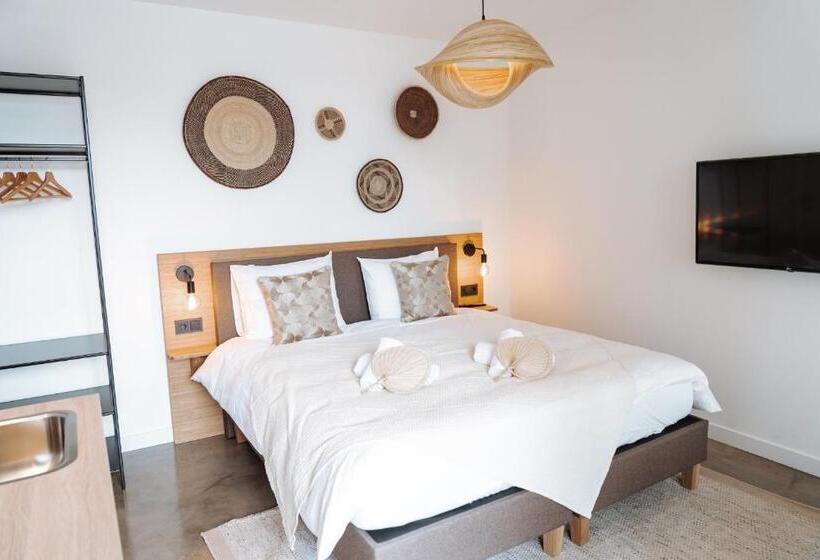 Standaard Studio, Paradis Zandvoort
