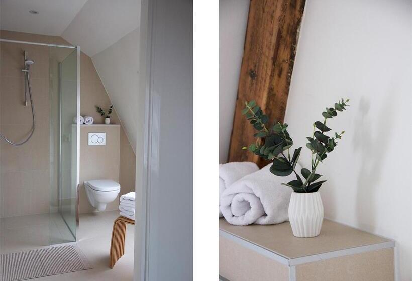 Standaard Studio, Paradis Zandvoort