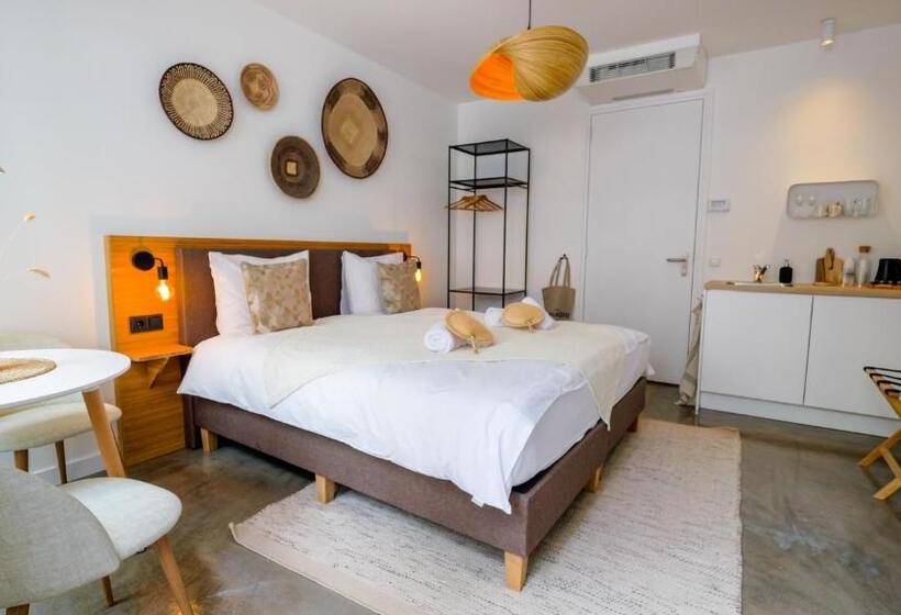 Standaard Studio, Paradis Zandvoort
