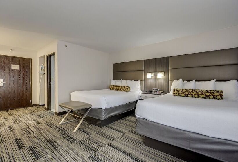 Standard Room, Alexis Inn And Suites