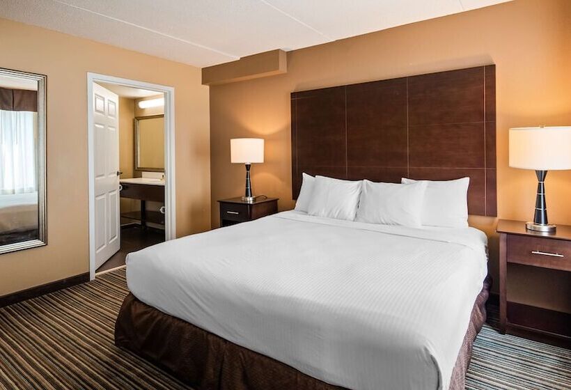 اتاق استاندارد با تخت دوبل برای معلولان, Best Western Plus Harrisburg East Inn & Suites