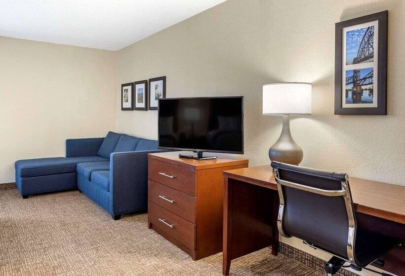 اتاق استاندارد با تخت بزرگ, Comfort Inn & Suites Airport
