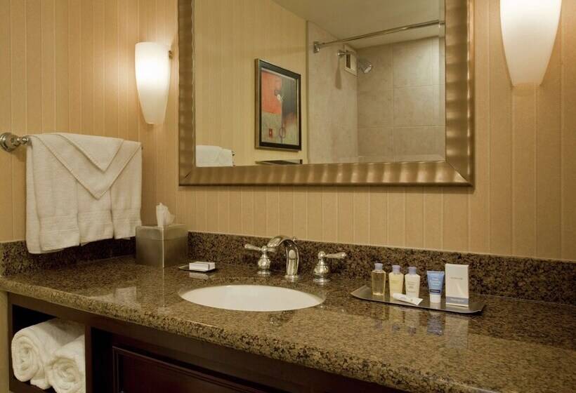 اتاق استاندارد با تخت دوبل, Doubletree By Hilton  Syracuse