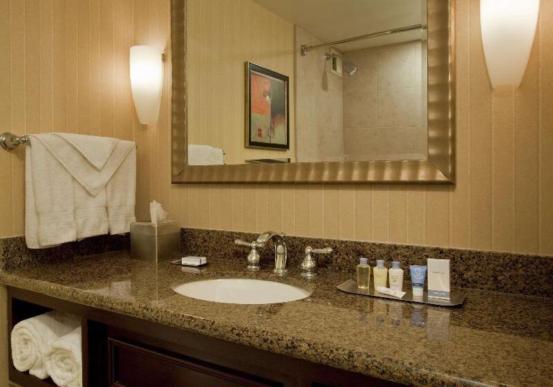 اتاق استاندارد با بالکن, Doubletree By Hilton Hotel Syracuse