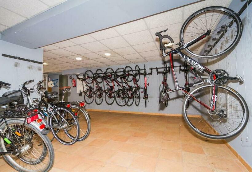 اتاق استاندارد یک نفره, Eix Alcudia Hotel Adults Only