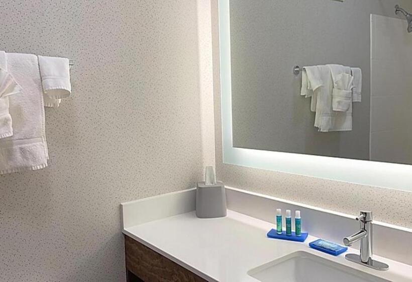 اتاق استاندارد برای معلولان, Holiday Inn Express Columbia Ne   Fort Jackson