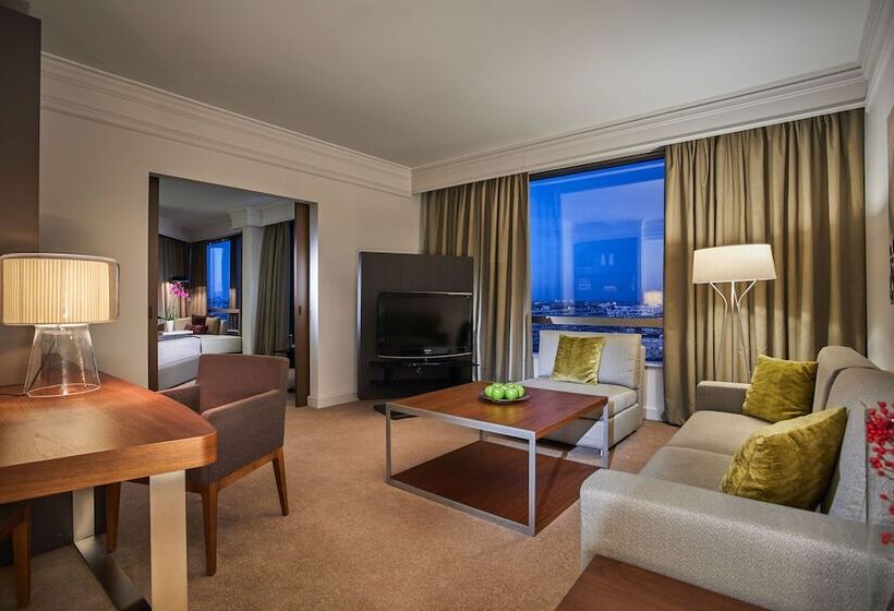 سوئیت با تخت بزرگ, Hyatt Regency Belgrade