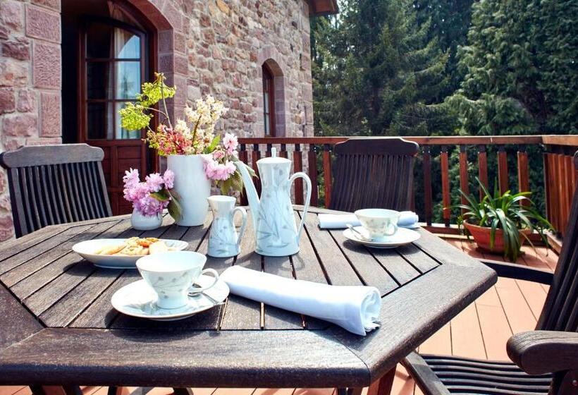 سوئیت جونیور با تراس, Jardin De Carrejo