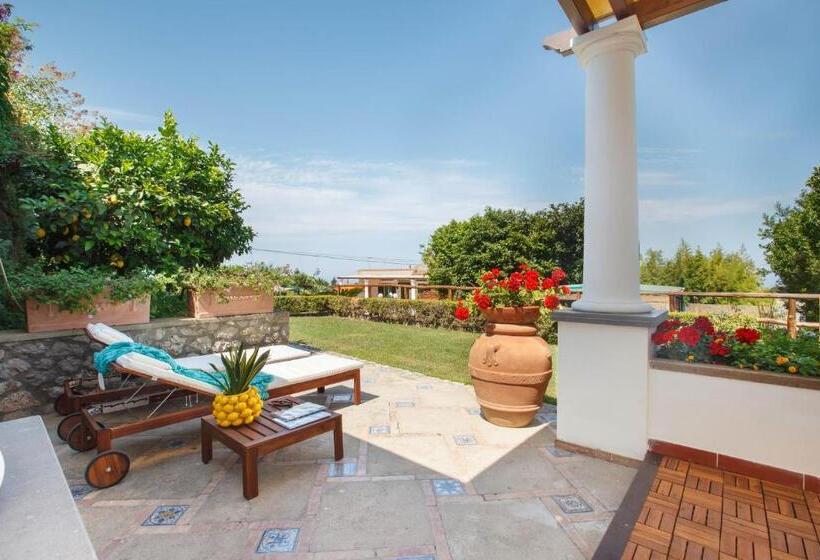 سوییت لوکس, Residence 2 Pini