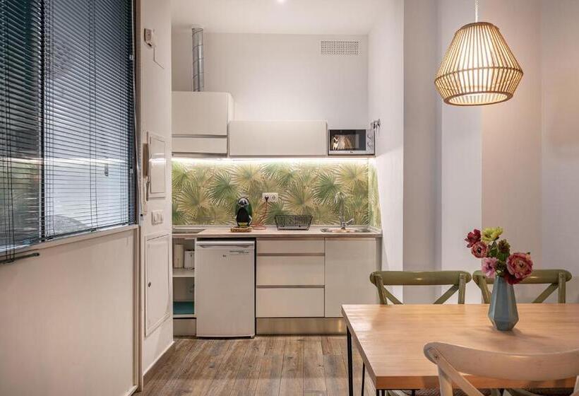 آپارتمان 1 خوابه, Apartamentos Boutique Albaicín Granada 3000