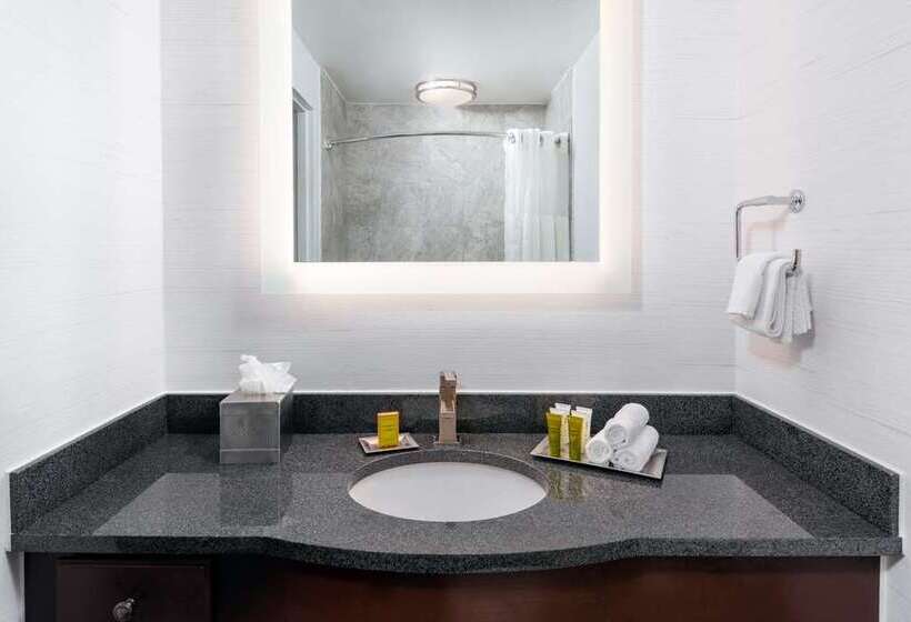 اتاق استاندارد با تخت بزرگ, Hilton Edinburgh Carlton