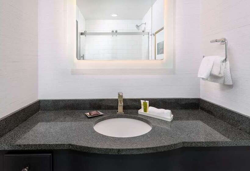 اتاق استاندارد با تخت بزرگ, Hilton Edinburgh Carlton