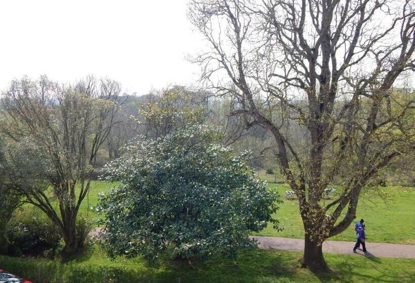 اتاق استاندارد با تخت بزرگ, Rowcroft Lodge