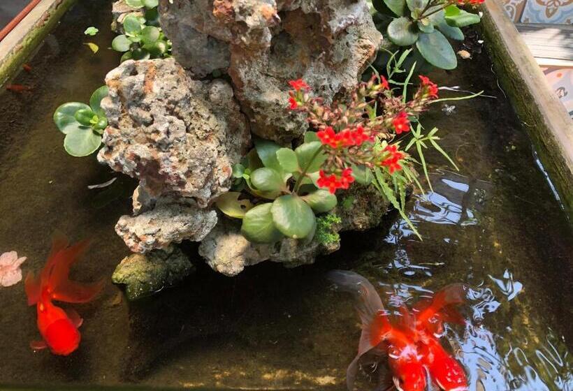 اتاق لوکس, Q  Homestay Garden Villa