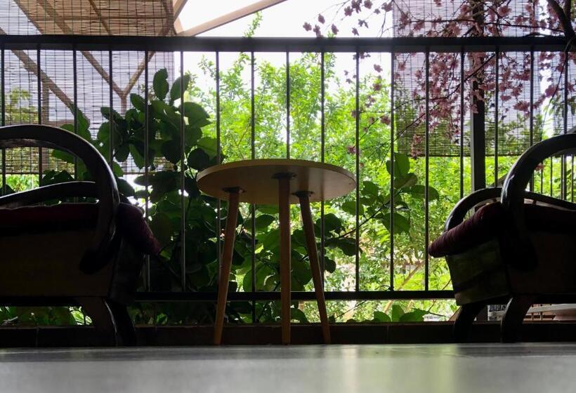 اتاق لوکس, Q  Homestay Garden Villa