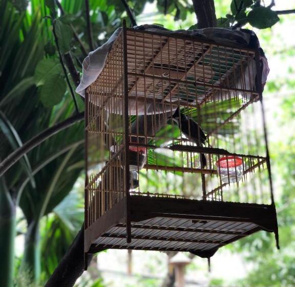 اتاق لوکس, Q  Homestay Garden Villa