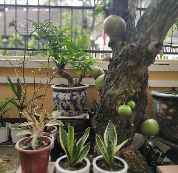 آپارتمان 1 خوابه با چشم‌انداز باغ, Q  Homestay Garden Villa