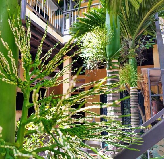 آپارتمان 1 خوابه با چشم‌انداز باغ, Q  Homestay Garden Villa