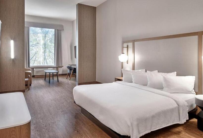 سوئیت با تخت بزرگ, Fairfield Inn & Suites By Marriott Penticton