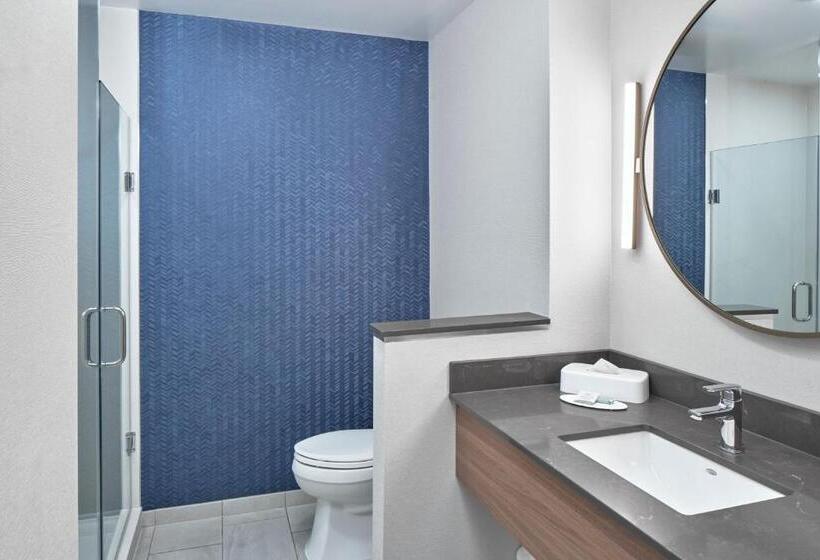 اتاق استاندارد با تخت بزرگ, Fairfield Inn & Suites By Marriott Penticton
