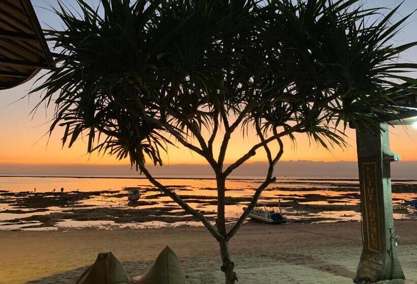 اتاق لوکس با تخت بزرگ, Ketut Losmen Bungalows Lembongan