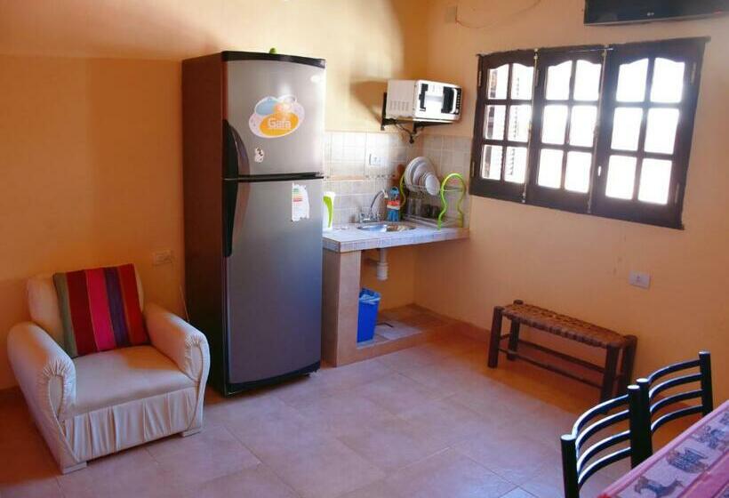 آپارتمان 1 خوابه, Hostal Paseo De Los Colorados