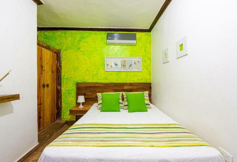 اتاق استاندارد, Vista De águilas Ecolodge