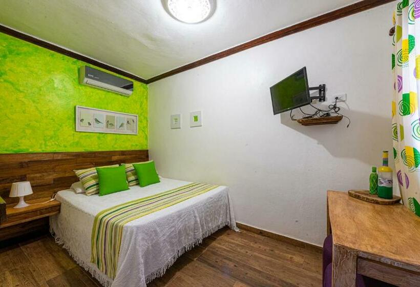 اتاق استاندارد, Vista De águilas Ecolodge