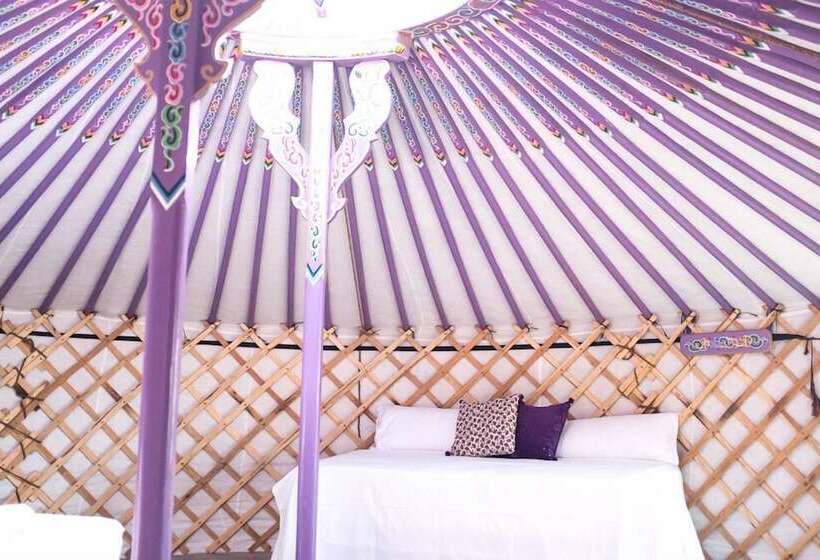 بانگلوی لوکس, Wakana Lake Glamping