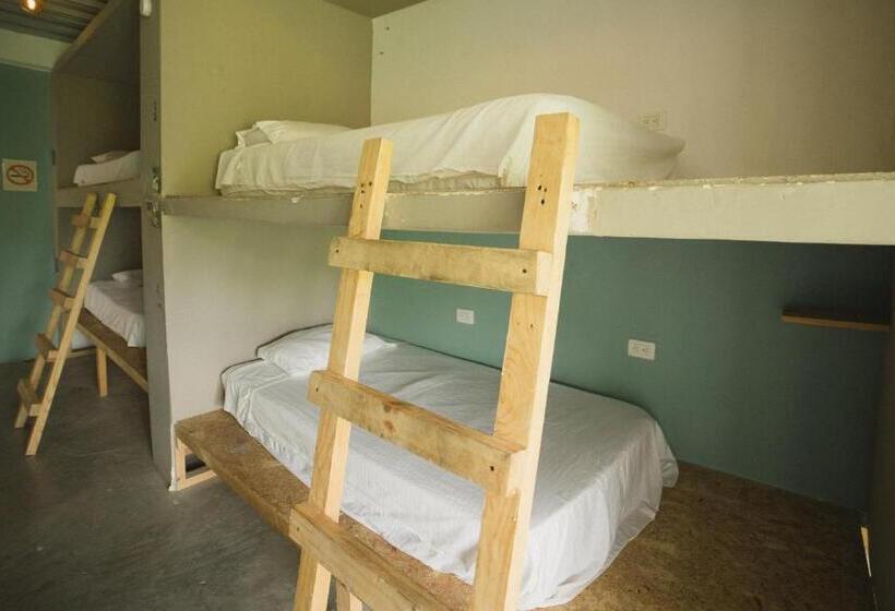 تختخواب در اتاق مشترک, The Journey Hostel
