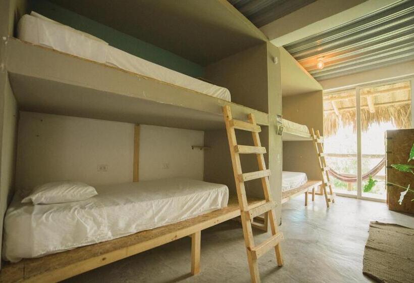 تختخواب در اتاق مشترک, The Journey Hostel