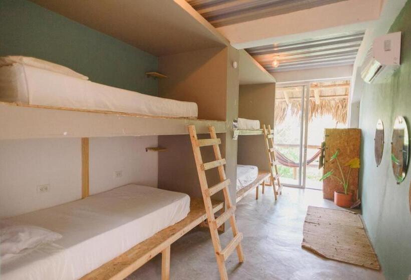 تختخواب در اتاق مشترک, The Journey Hostel