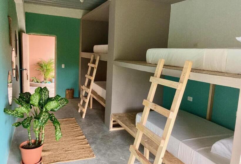 تختخواب در اتاق مشترک, The Journey Hostel