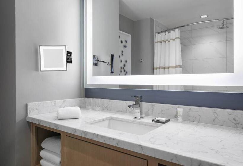 اتاق استاندارد با تخت دوبل و چشم‌انداز, Marriott Virginia Beach Oceanfront Resort