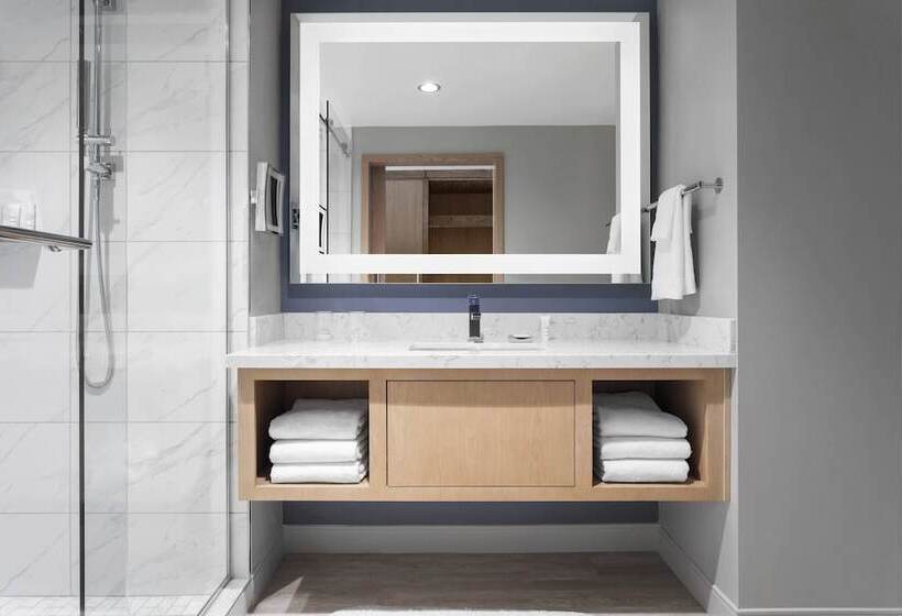 اتاق استاندارد با تخت دوبل و چشم‌انداز دریا, Marriott Virginia Beach Oceanfront Resort