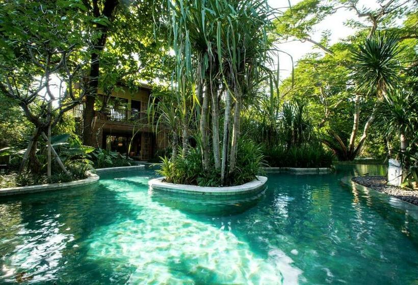 اتاق استاندارد, Andaz Bali, By Hyatt