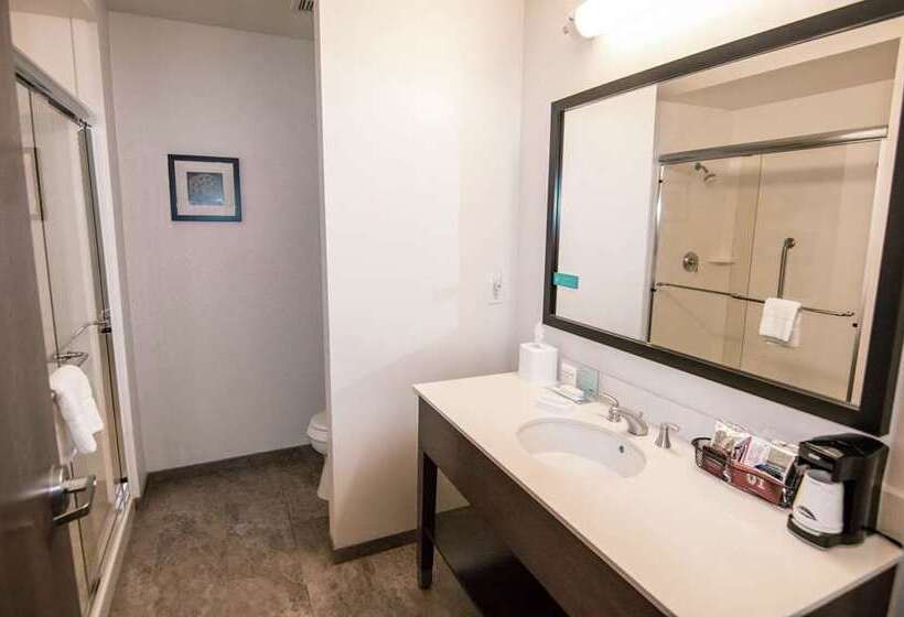 اتاق استاندارد با تخت بزرگ, Hampton Inn Buffalo   Amherst, Ny