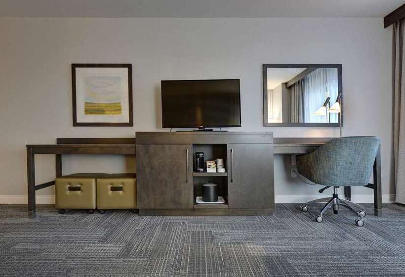 اتاق استاندارد با تخت بزرگ, Hampton Inn Buffalo   Amherst, Ny