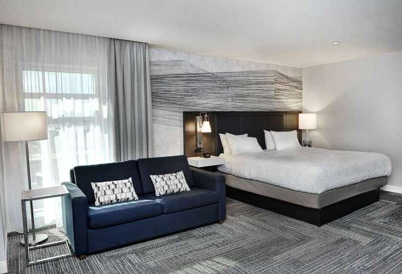اتاق استاندارد با تخت بزرگ, Hampton Inn Buffalo   Amherst, Ny