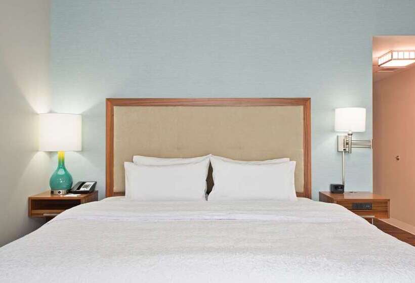 اتاق استاندارد با تخت بزرگ, Hampton Inn Buffalo   Amherst, Ny