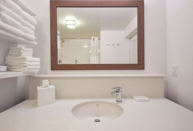 اتاق استاندارد با تخت بزرگ, Hampton Inn Buffalo   Amherst, Ny