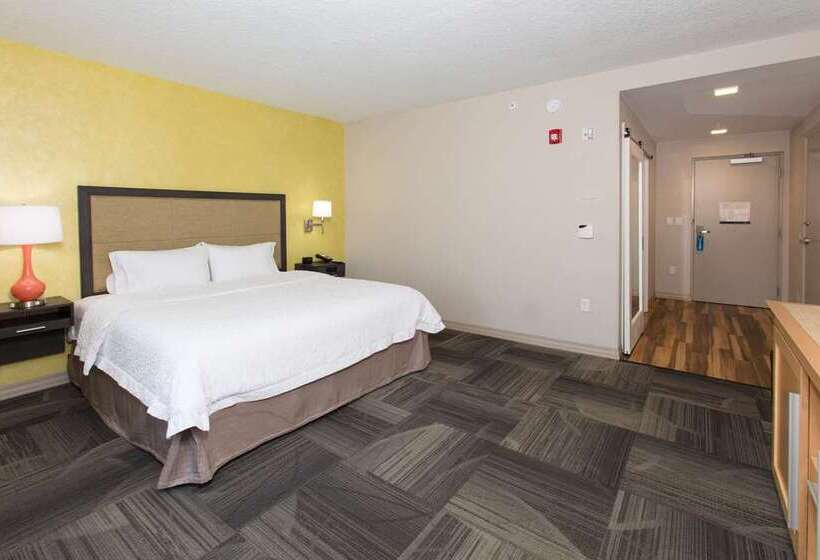 اتاق استاندارد با تخت بزرگ, Hampton Inn Buffalo   Amherst, Ny