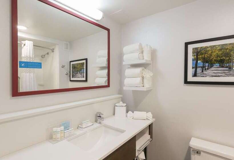 اتاق استاندارد برای معلولان, Hampton Inn Buffalo   Amherst, Ny
